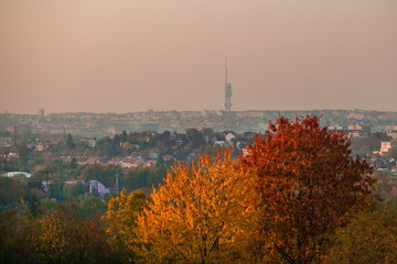 Fototapeta na wymiar View of evening fall landscape of Czech republic capital city, Prague, Europe, famous tall observation tower at Zizkov, houses, horizon in distance, grey pink sky, red and orange trees in foreground