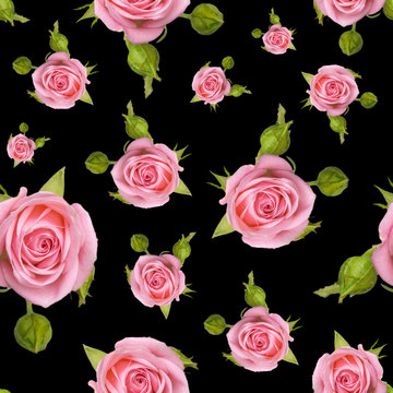 Seamless pattern with a pink roses on a white background. Background with a colorful flowers on a black background.
