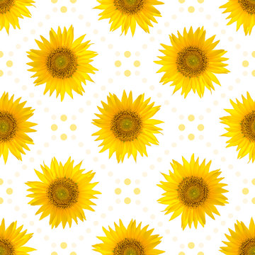 Seamless pattern with big bright sunflowers and dots on white background