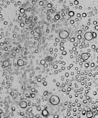 bubbles in water close-up black-and-white background