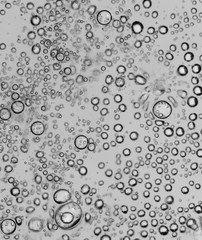 bubbles in water close-up black-and-white background