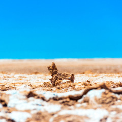 Clay in the Atacama desert, Chile. With selective focus.
