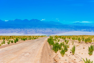 Landscape in Atacama desert, Chile. Copy space for text.