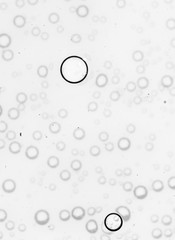 bubbles in water close-up black-and-white background