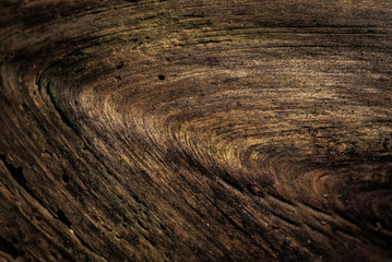 old wood texture abstract