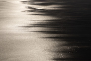 the play of light on wet sand in the evening light