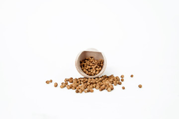 Dried coriander seeds. Coriander sprinkled on a white background and a wooden scoop. The concept of using herbs and spices for dishes. Strong taste of dishes. Improving the taste.