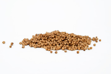 Dried coriander seeds. Coriander spilled on a white background. The concept of using herbs and spices for dishes. Strong taste of dishes. Improving the taste.