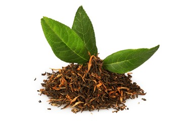 Green and dried tea leaves