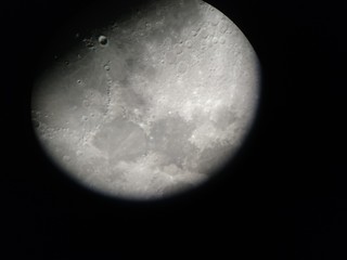 Mond