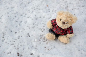 Alone cute teddy bear sitting on snow background,white snow background, feel like lonely,sadly,sadness,waiting. image for background, backdrop or greeting card for special events.