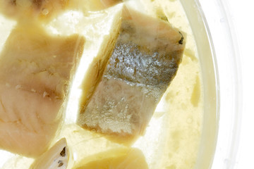 fish herring close up