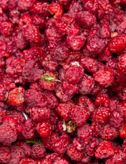 Fresh raspberries background closeup photo