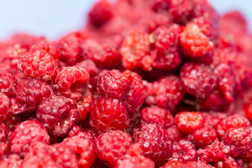 Fresh raspberries background closeup photo