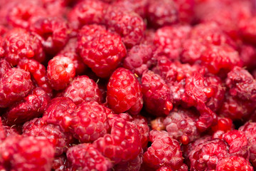 Fresh raspberries background closeup photo