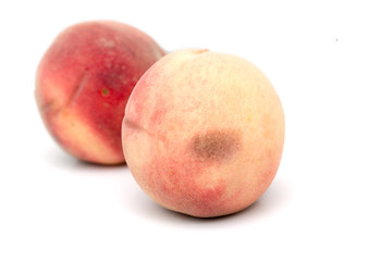 peach on a white background