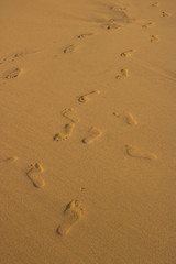 Fototapeta na wymiar footprint on beach sand