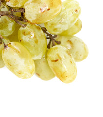 grapes isolated on white