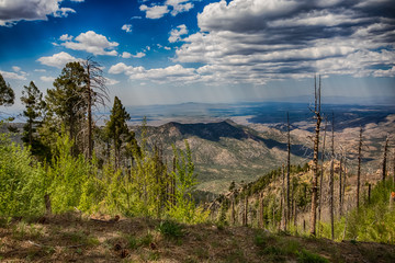 Mt. Lemmon Summit