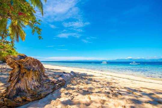 Fototapeta View of the sandy beach in Moalboal, Cebu, Philippines. Copy space for text.
