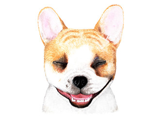 French bulldog. Watercolor illustration.
Portrait of a smiling French bulldog. Dog enjoys life. Illustration for printing on t-shirts, animal feed, etc.