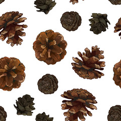Pine cones seamless pattern isolated on white bacground. - 228598631