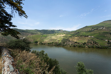Fototapeta na wymiar Douro River – Panoramic View