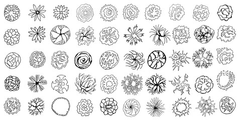 Set of hand drawn stylized top view trees and plants. Graphic, isolated on white, vector.
