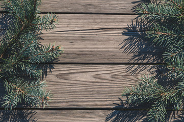 Wodden background with pine cone branches.