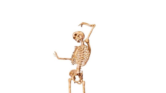 skeleton stand stretch white background