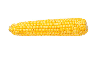 Corn isolated on a white background