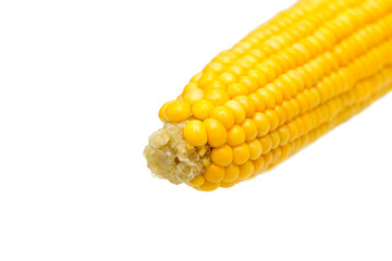 Corn isolated on a white background