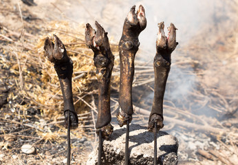 traditions of Kazakh people, slaughtered a ram and with the help of the fire removed the hair on...