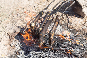 traditions of Kazakh people, slaughtered a ram and with the help of the fire removed the hair on the legs. This puts the meat on top of the national dishes beshbarmak.