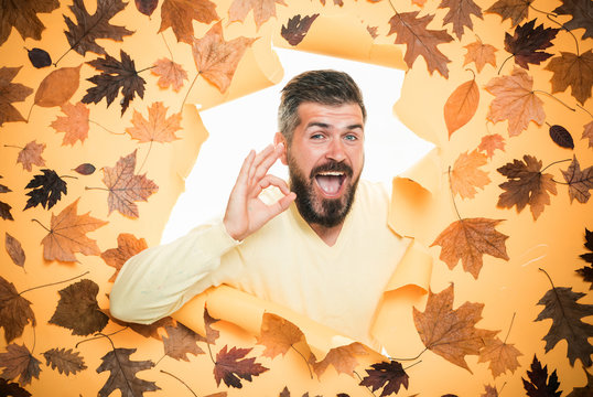Man are preparing for autumn sunny day. Autumn boy preparing for Autumn sale. Handsome funny male with background board for Copyspace. Autumn concept. Bearded man lies on an orange background.