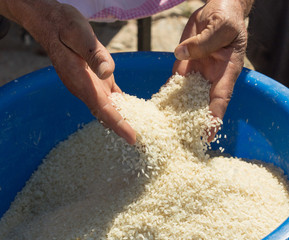 man cleans rice for pilaf