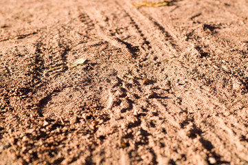 sandy path with cycle bike tire tracks with perspective. background, texture
