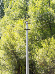 electric concrete pole in nature