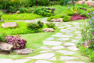 Walk way with flower and green yard in garden, fresh gardening decoration.