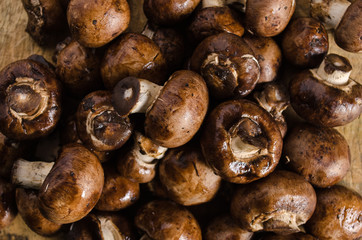 Small brown mushrooms, on a wooden board with burns and cuts.