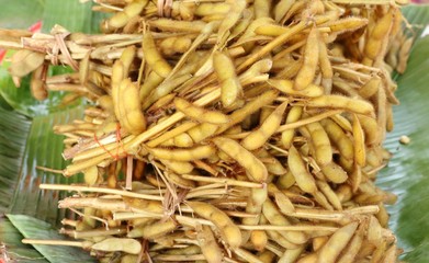 Soybean pods at street food