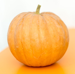 pumpkin on the table