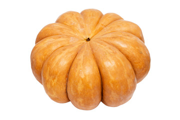 ripe pumpkin on a white background