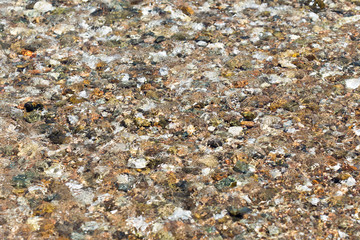 colorful rolling stones sea bottom pattern musk seaweed