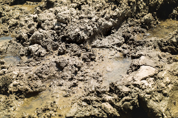 Mud and puddles on the dirt road.