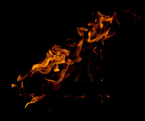 Fire flames on black background