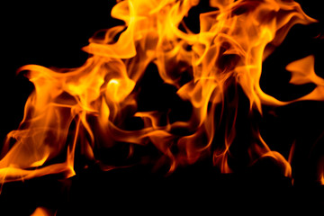 Fire flames on black background