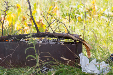 Wood burning in a barbeque grill. Closeup of firewood