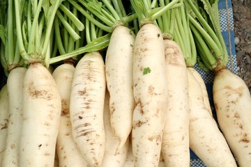 radish at street food