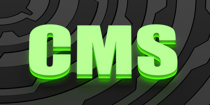 CMS acronym (Content management system)
